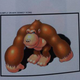 Illustration for article titled Early Donkey Kong Country Art Shows 'Realistic' Enemies and Animal Pals